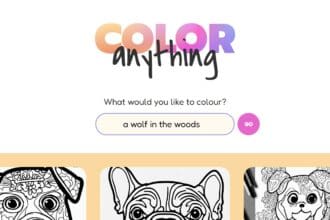Color Anything Review: How To Use & Free Guide