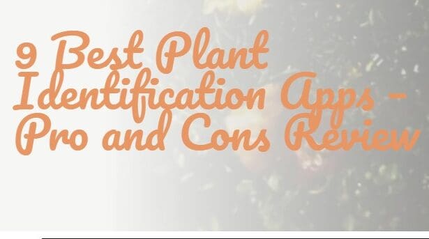 10 Best Plant Identification App in 2026