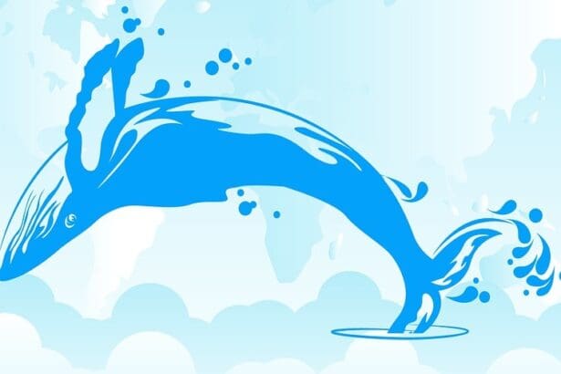5 Best Crypto Whale Wallet Tracker In 2026