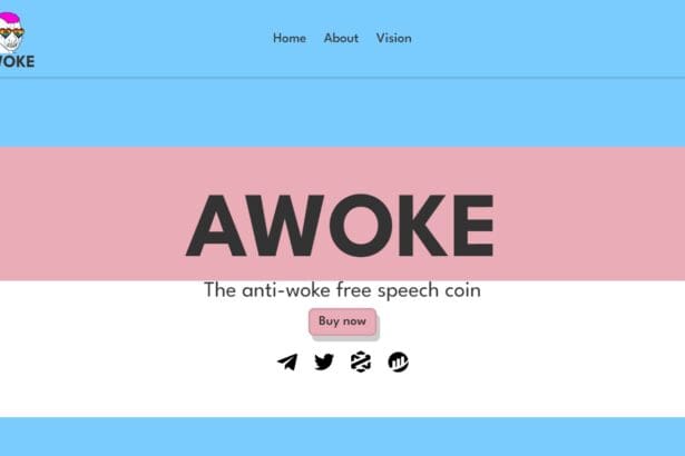 Awoke : To Know More About This Crypto Read Our Article