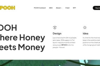 POOH: To Know More About This Crypto Read Our Article