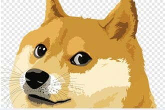 Doge-TV: To Know More About This Crypto Read Our Article