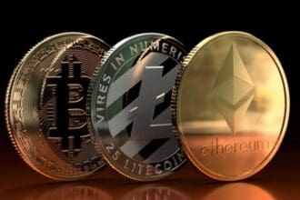 Zoro Inu: To Know More About This Crypto Read Our Article
