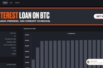 Dollarhoy: To Know More About This Crypto Read Our Article