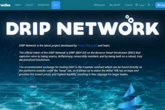 Drip Network: To Know More About This Crypto Read Our Article