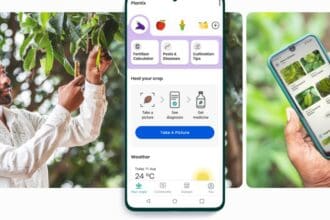 8 Best Plant Identification App