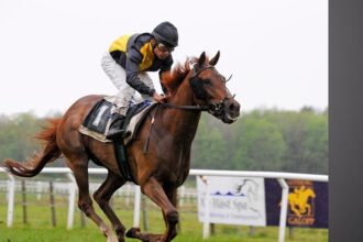 Horse Race Betting Strategies for Success