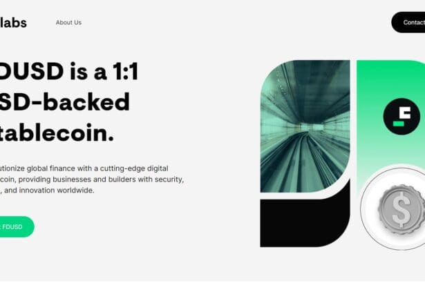 First Digital USD: To Know More About This Crypto Read Our Article