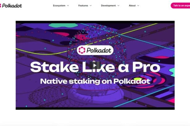9 Best Polkadot Staking Platforms With the Highest Rates 2023