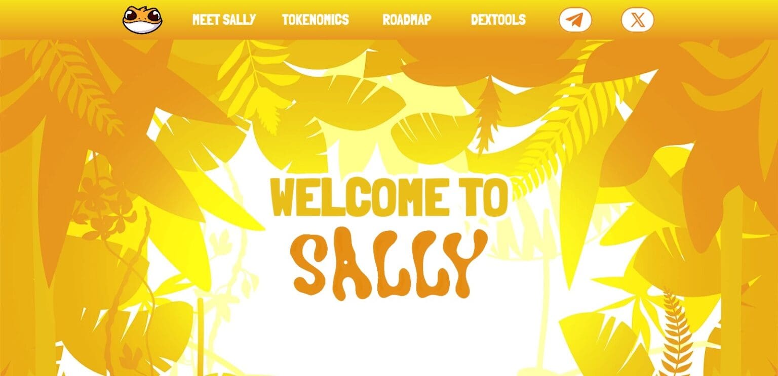 Sally: To Know More About This Crypto Read Our Article