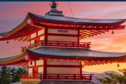 13 Best Crypto Tax Software In Japan