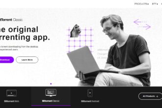 BitTorrent Price Prediction 2023-2030