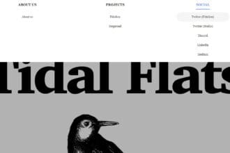 Tidalflats: To Know More About This Crypto Read Our Article