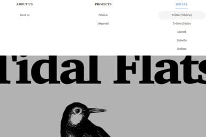 Tidalflats: To Know More About This Crypto Read Our Article