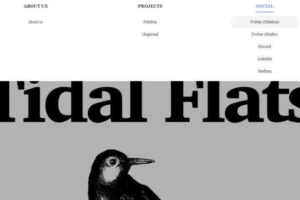 Tidalflats: To Know More About This Crypto Read Our Article