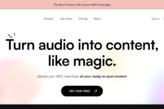 Castmagic Ai Review: How To Use & Free Guide