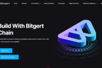 Bitgert (BRISE) Price Prediction 2023-2032
