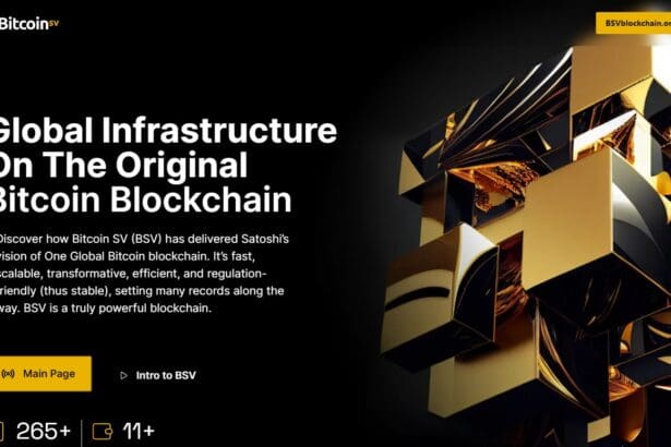 Bitcoin SV Price Prediction 2025-2034