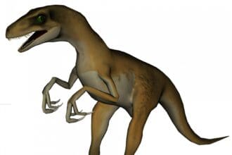 15 Best Hunting Games of All Time