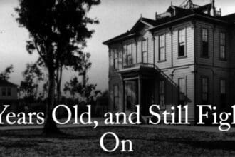 15 Best Programs For Business Analytics