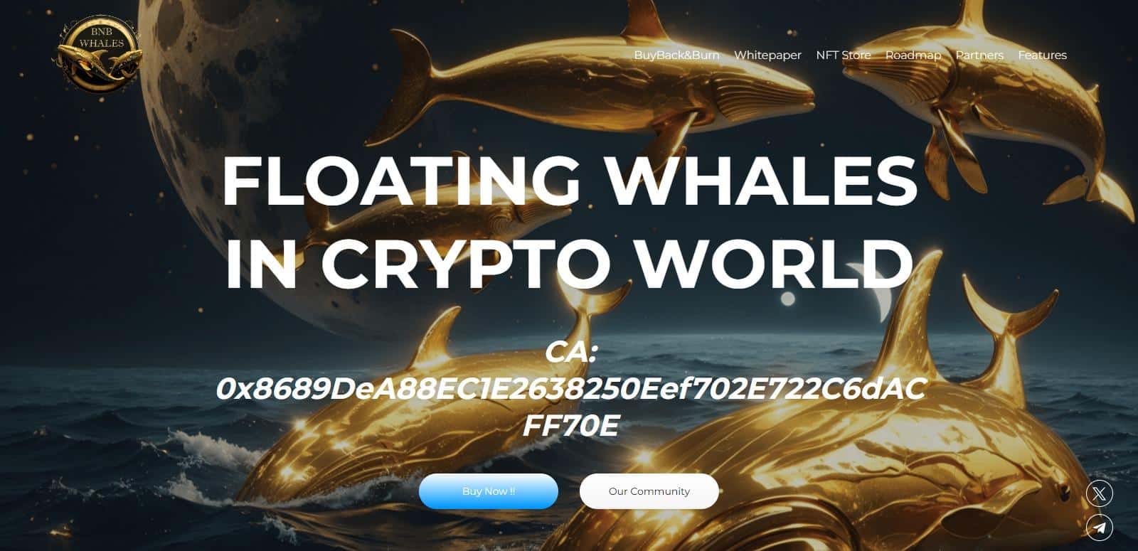 BNB Whales To Know More About This Crypto Read Our Article