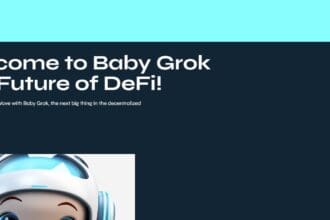 Baby Grok To Know More About This Crypto Read Our Article