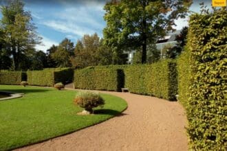 10 Best Landscaping Websites In 2024