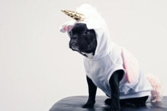 15 Best AI Joke Generator Tools to Laugh Out Loud