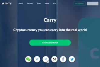 Carry Price Prediction 2024-2032