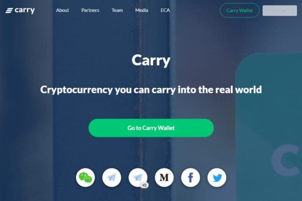 Carry Price Prediction 2024-2032