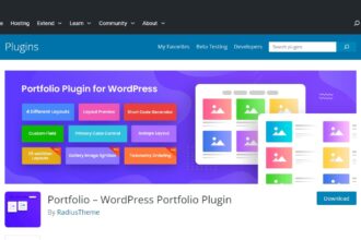 Best Wordpress Portfolio Plugins For Visual Artists In 2024