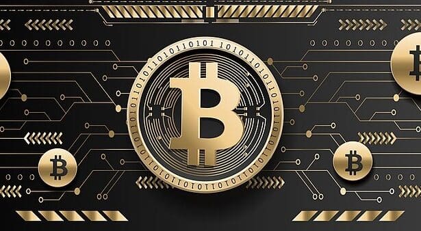 10 Best Bitcoin Alternatives To Buy In 2024