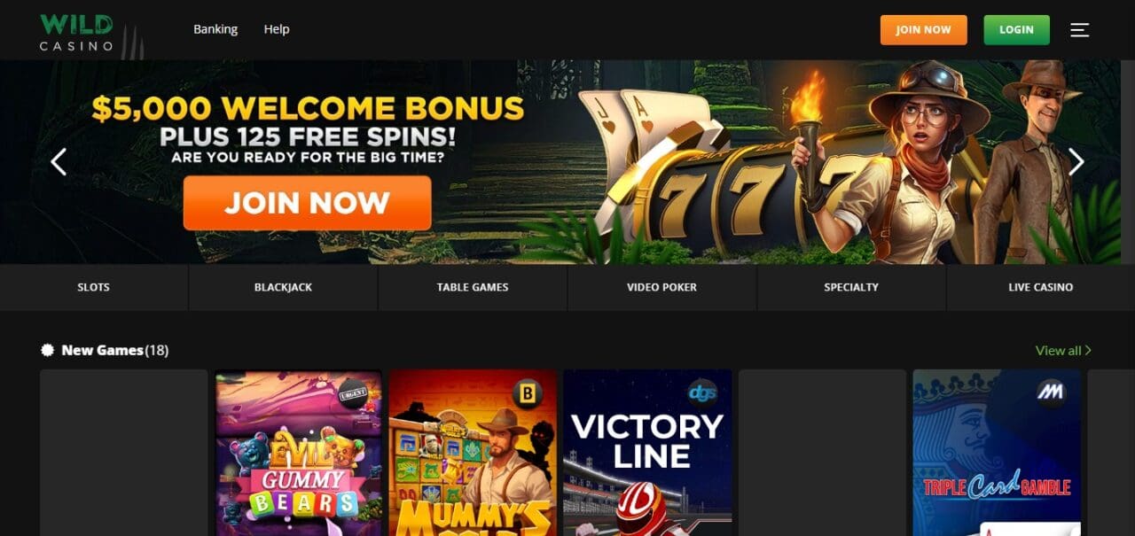 WildCasino