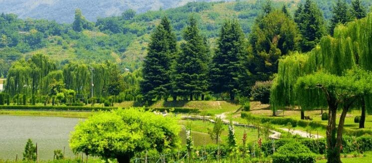 Jawaharlal Nehru Botanical Garden – Best Piece of Nature