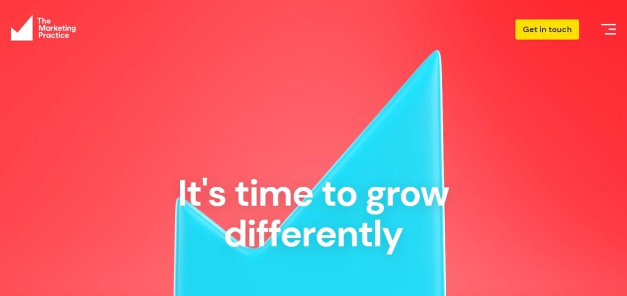 The Marketing Practice