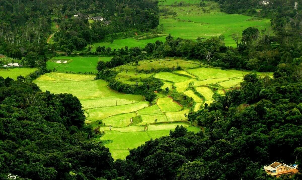 Coorg (Best Tourist Places In Karnataka)