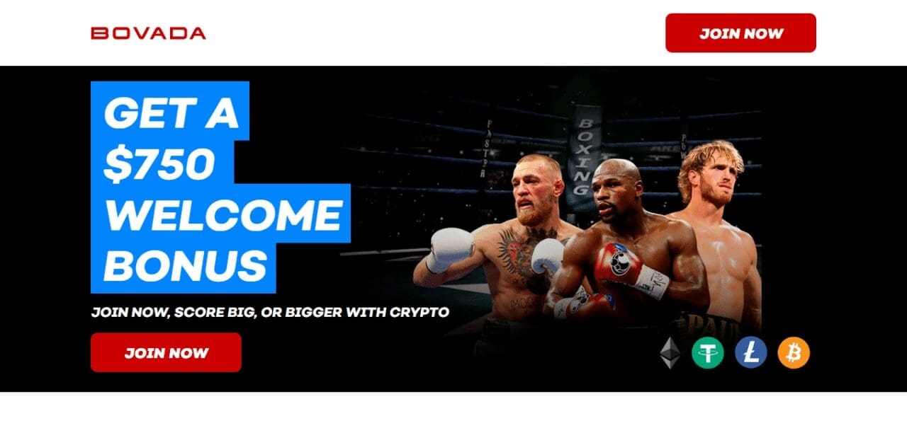 Bovada