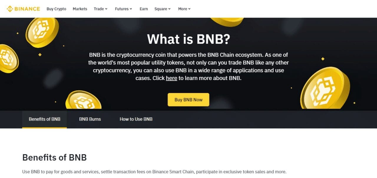 Binance Coin (BNB) (Best Bitcoin Alternatives To Buy)