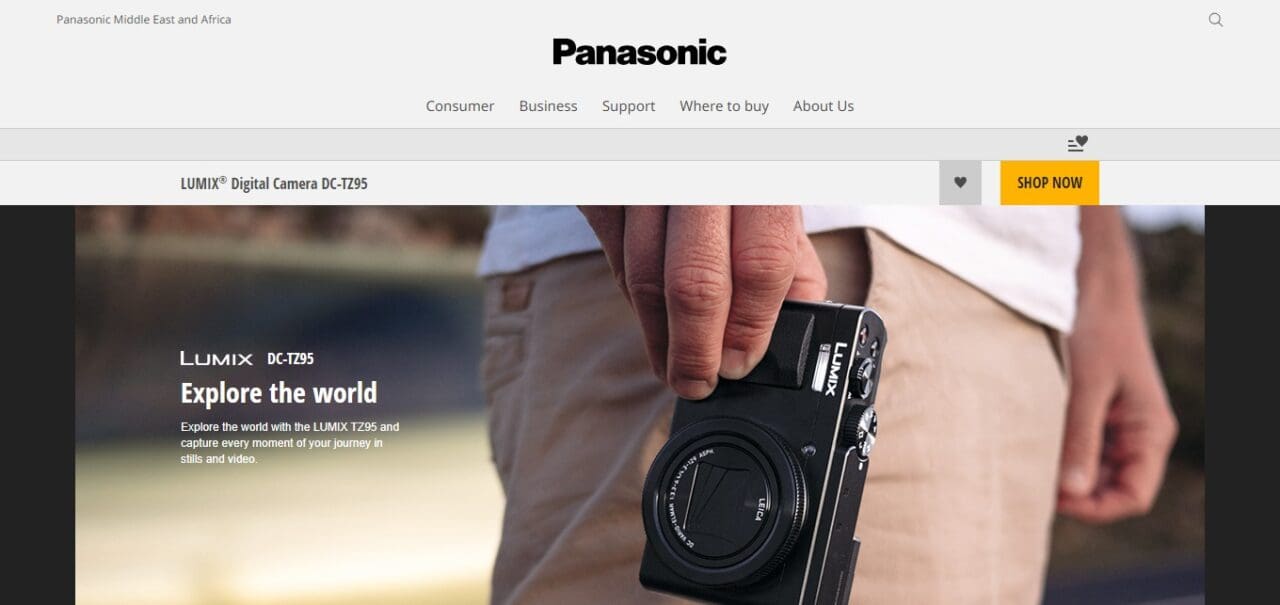 Panasonic Lumix ZS80 / TZ95