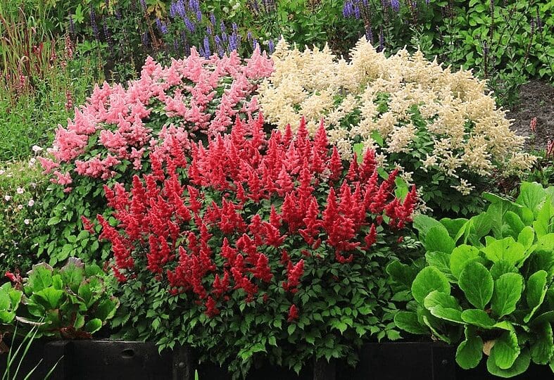 Sustainable Landscape Design