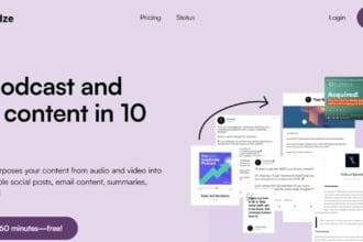 SummarAIze Review: How To Use & Free Guide.