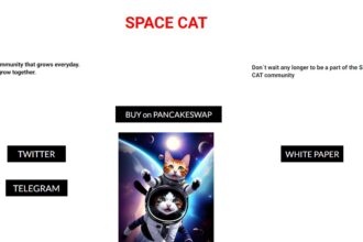 SPACE CAT To Know More About This Crypto Read Our Article