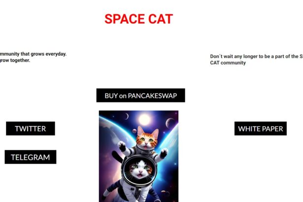 SPACE CAT To Know More About This Crypto Read Our Article