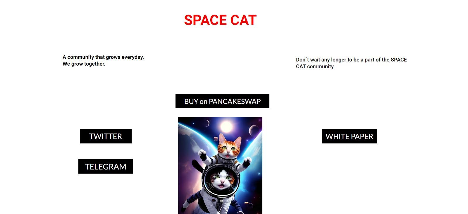 SPACE CAT To Know More About This Crypto Read Our Article