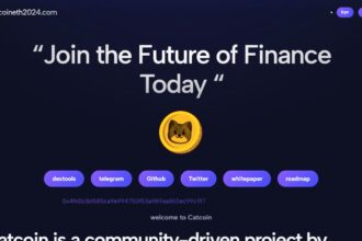Catcoin To Know More About This Crypto Read Our Article