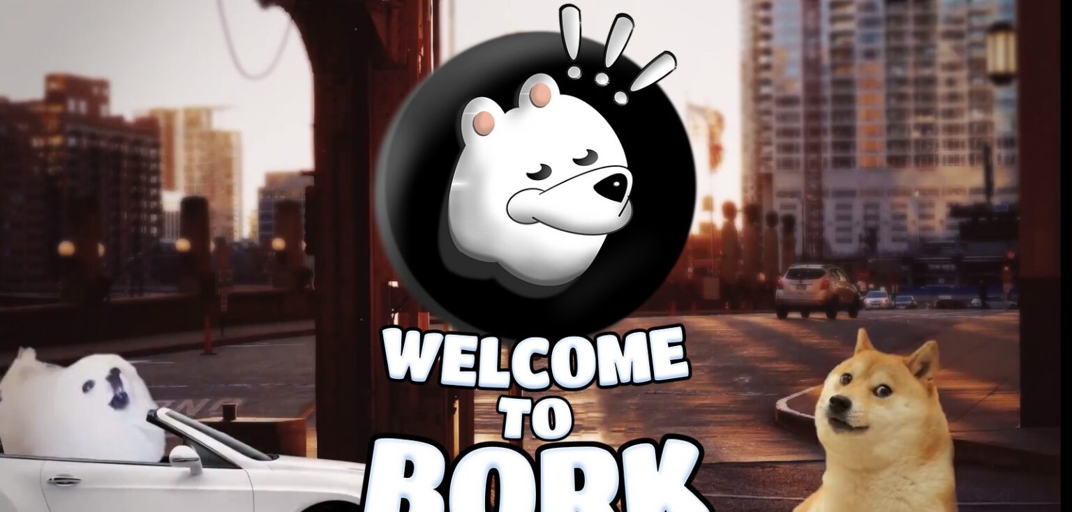 Bork To Know More About This Crypto Read Our Article 