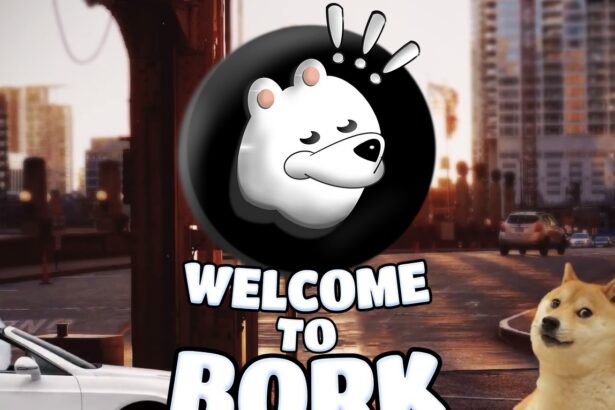 Bork To Know More About This Crypto Read Our Article 