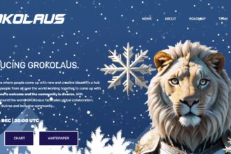 GROKolaus To Know More About This Crypto Read Our Article 