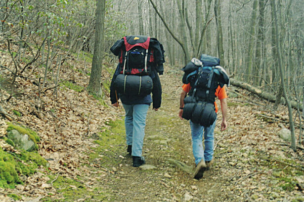 20 Best Apps For Hikers And Backpackers In 2024