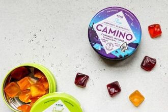 20 Best Thc Gummies – Top High-quality Brands To Try Out In 2024